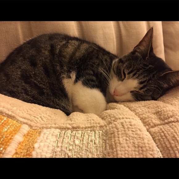 Meet your Posher, Amy Morgan - Picture 11 of 12